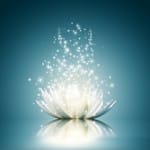Premier contact avec le REIKI : Conférence à Bordeaux